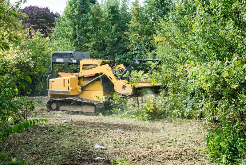 Slope Clearing in Salt Lake City, UT